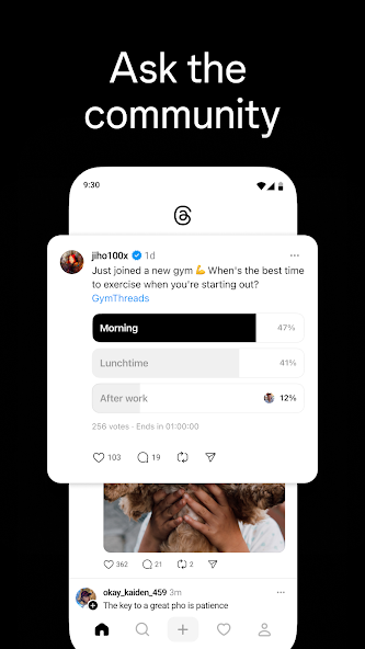 Screen