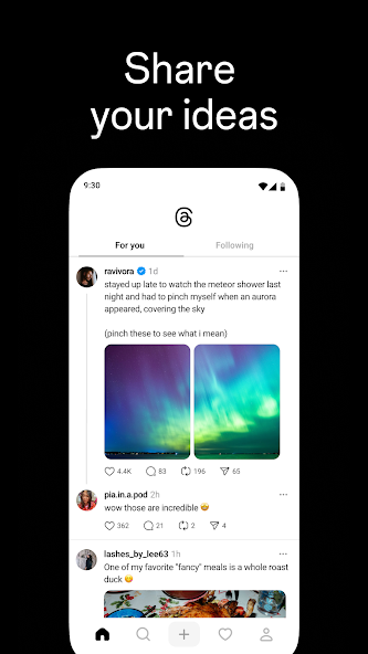 Screen